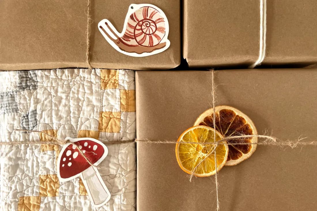 Eco Friendly Mushroom Decor Made from Sustainably Preserved Fungi