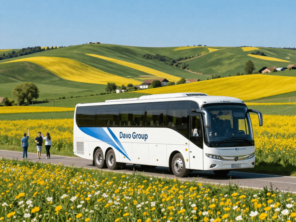Curse Moldova Germania zilnic - Călătoriți confortabil și sigur!