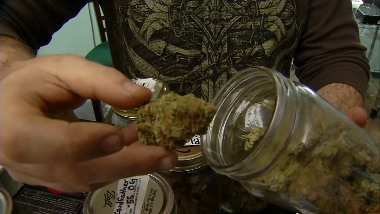 Quality atlantic cannabis Halifax Nova Scotia: Your Top Choices for Local Delivery