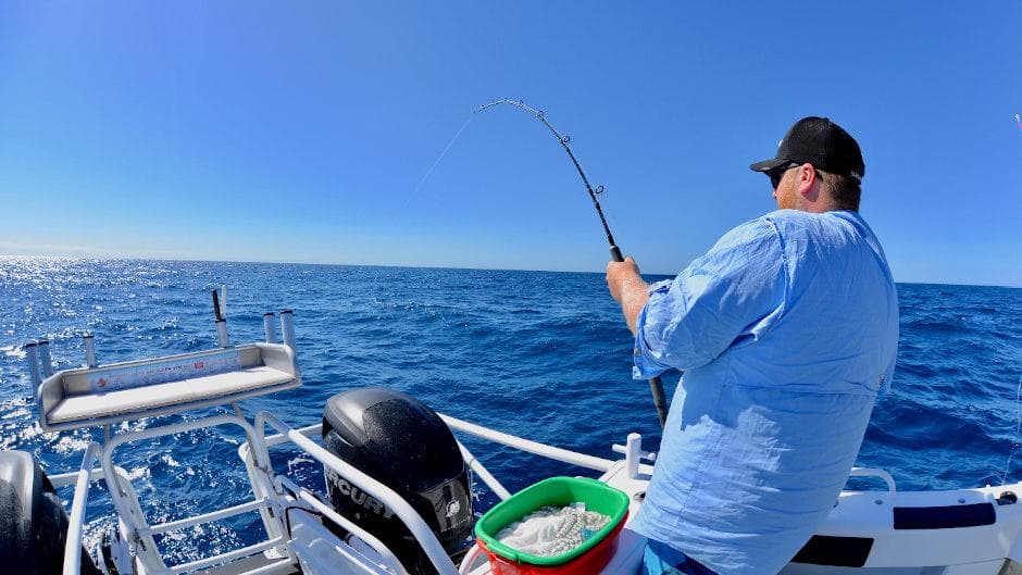 Cabo San Lucas Fishing Charters – Catch Big Fish