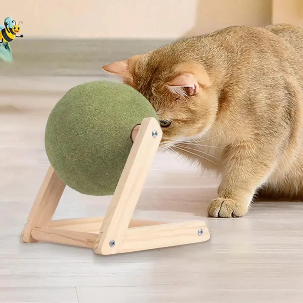 Catnip Ball – Entertain Your Cat with Fun Toys from Catshoponline