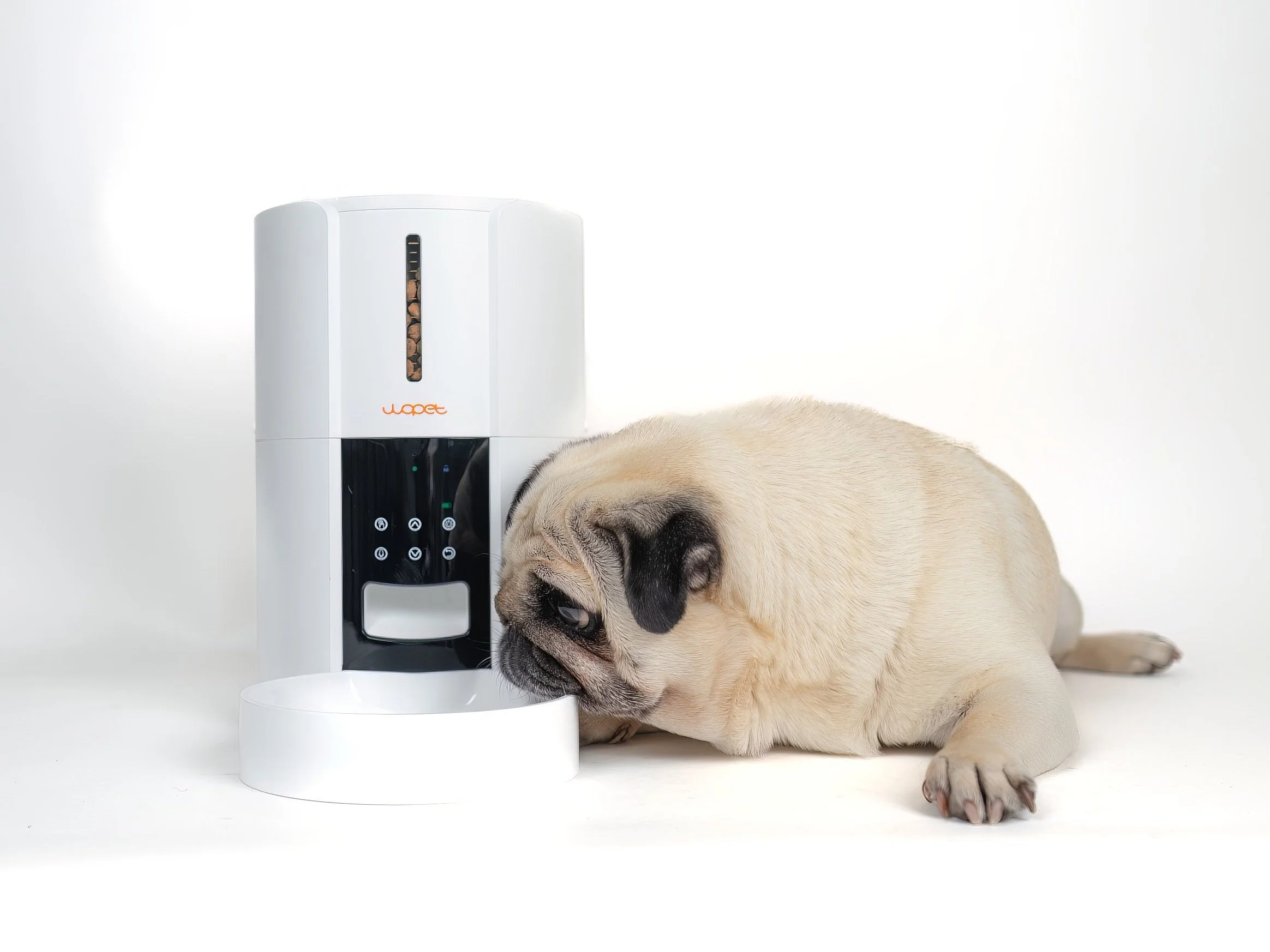 Transform Your Pet Care Routine with WOPET Automatic Feeders