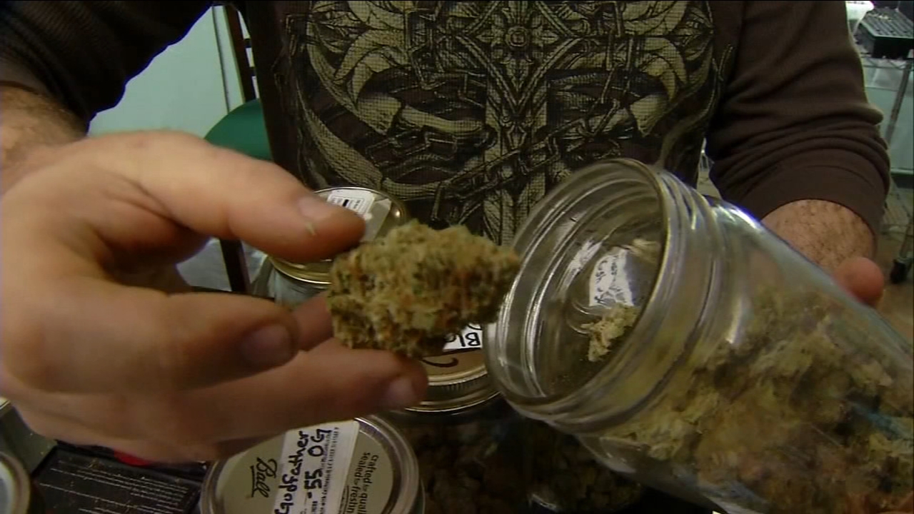 Quality atlantic cannabis Halifax Nova Scotia: Your Top Choices for Local Delivery