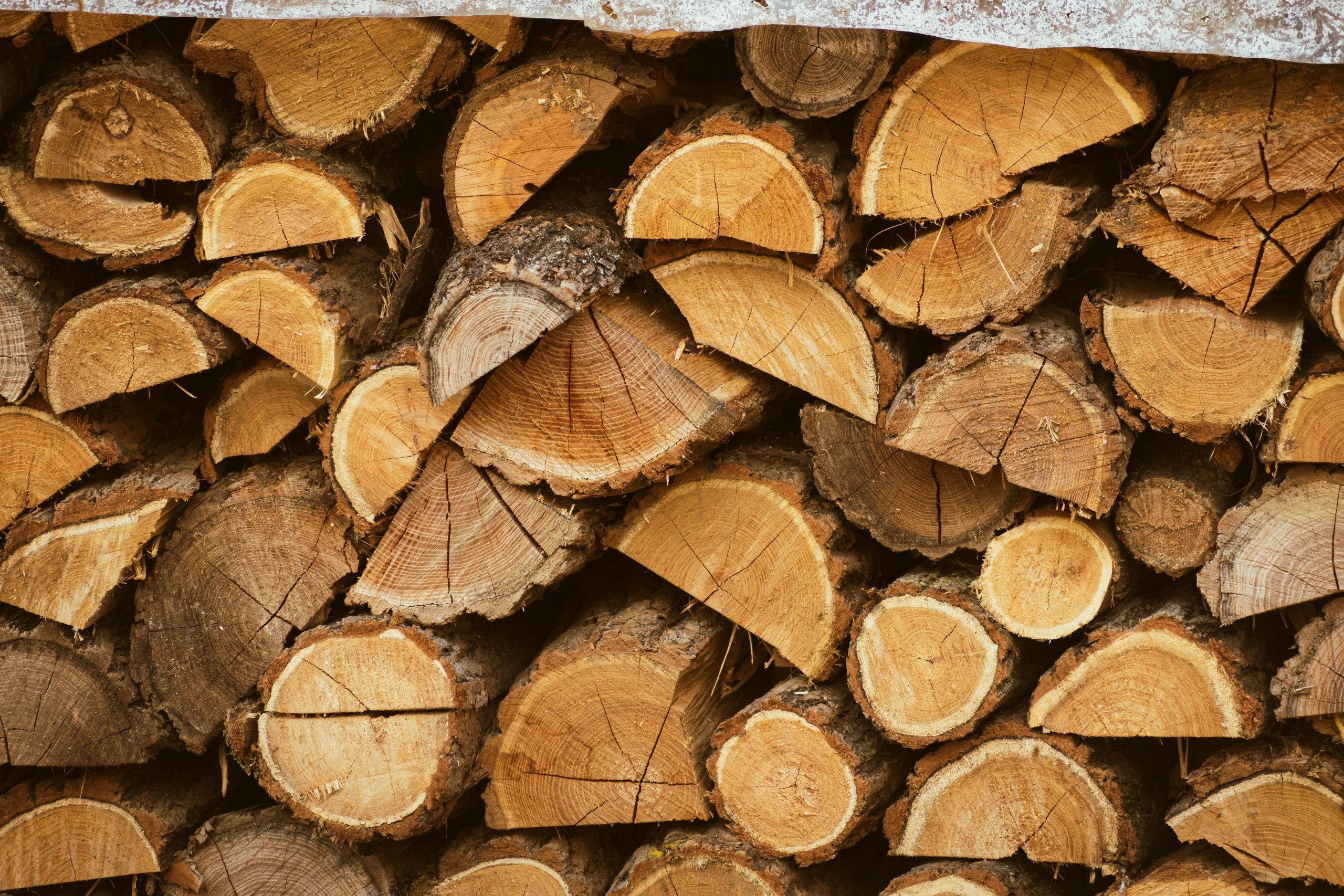 Lithuanian Firewood for Reliable Heat and Sustainability
