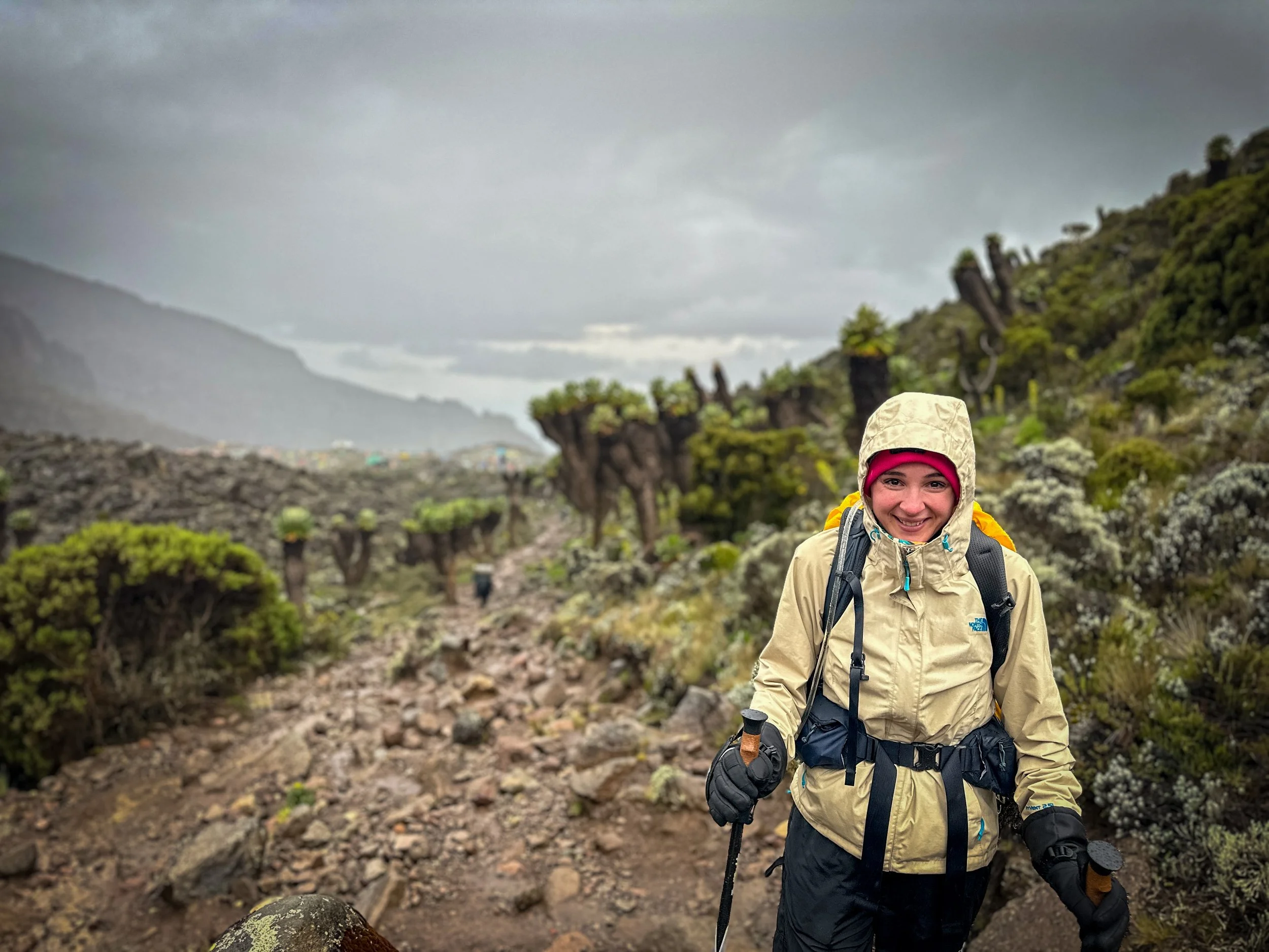 Climb Kilimanjaro with Accurate Advice from Local Professionals