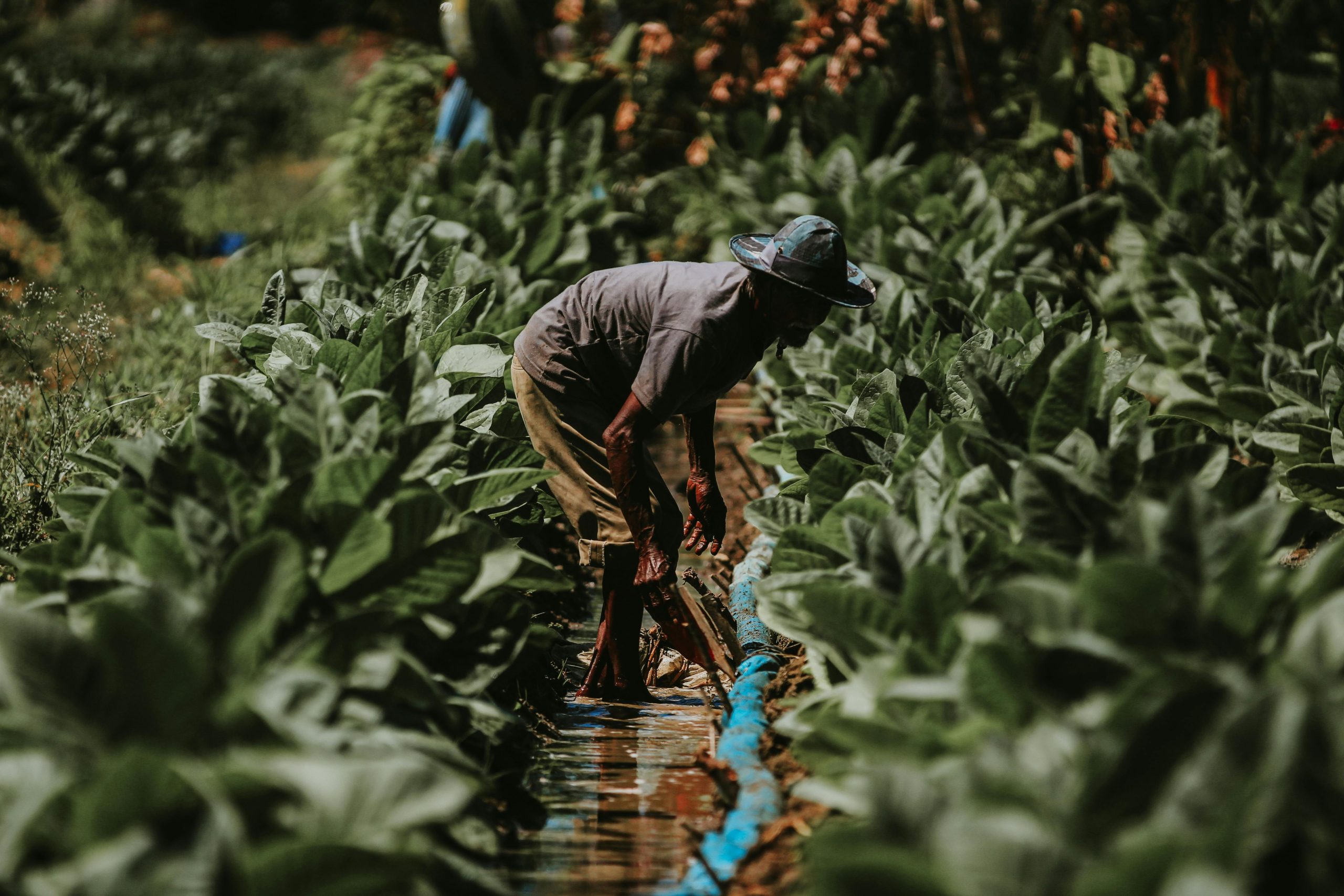 Professional Irrigation Services in Keller, TX Focused on Performance